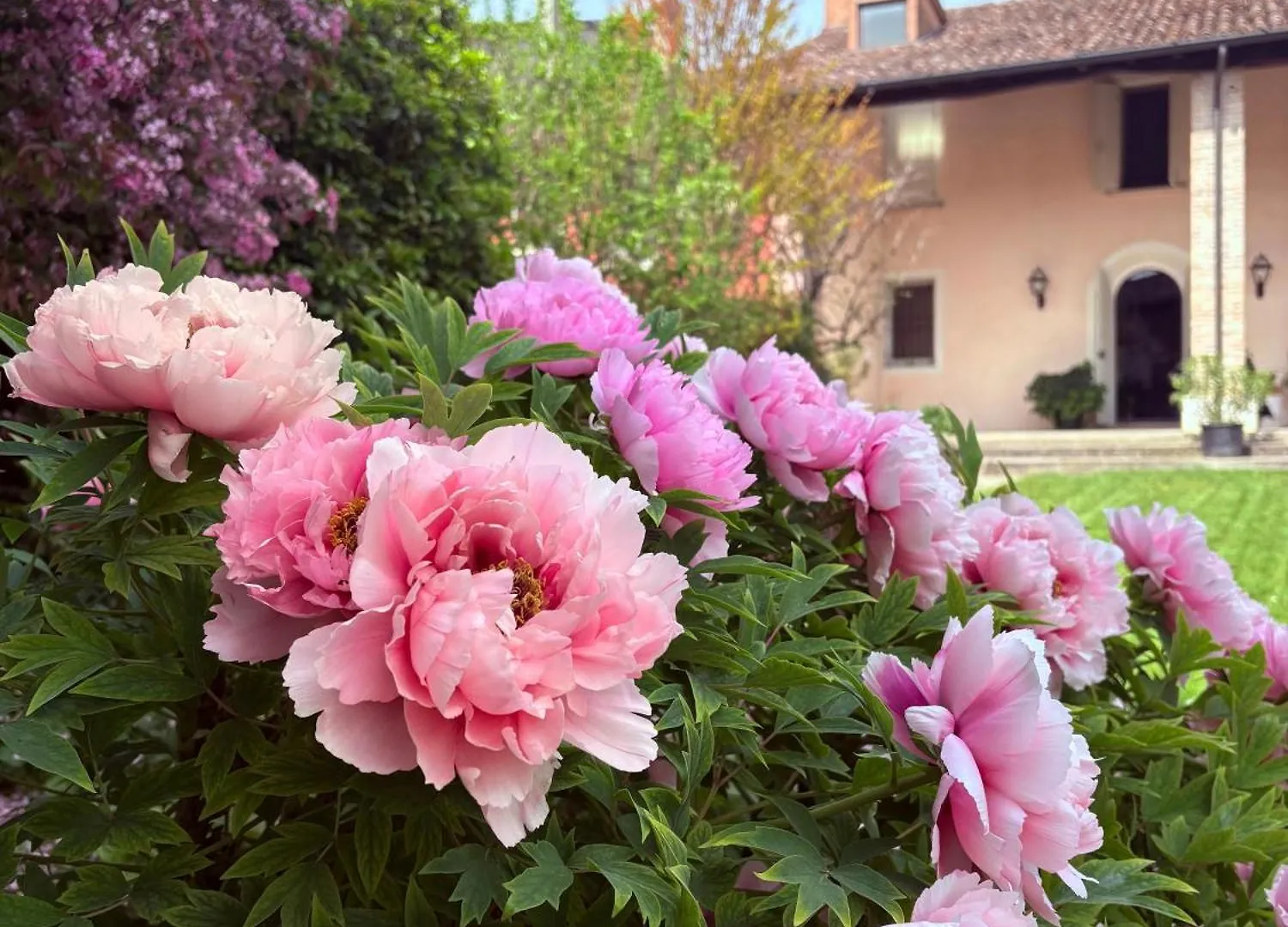 Maison Jardin Gambara Italy
