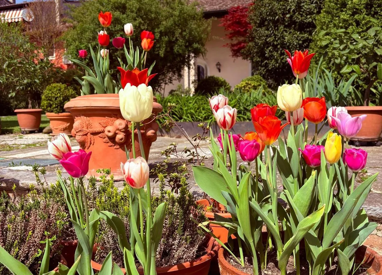 Maison Jardin Gambara 0*,  Italy