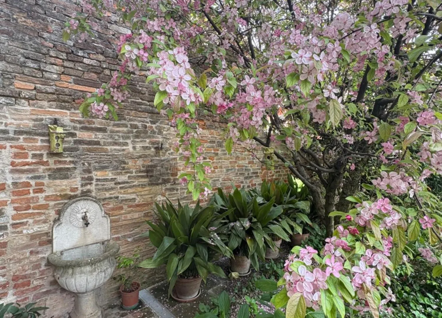 Bed & Breakfast Maison Jardin Gambara Italy